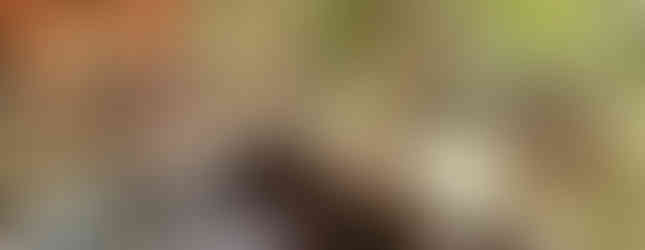 The photo shows an outdoor bath with a stone floor and walls. The bath is surrounded by large rocks and is partially covered by a wooden roof. The background shows lush green trees and a glimpse of a river. It appears to be a serene and natural setting for a relaxing soak.