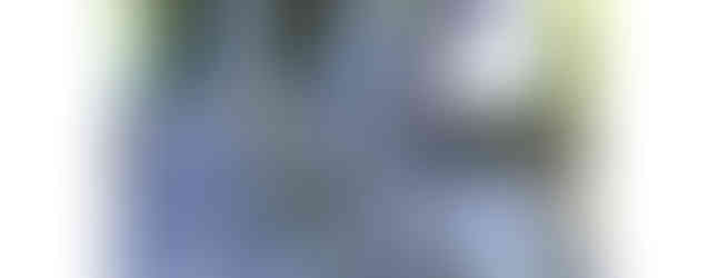 A wooden house elevated on stilts, nestled in a lush green forest. A spacious wooden deck extends from the front of the house, with a railing and stairs leading down to the ground. The house has sliding glass doors and windows, offering a view of the surrounding trees.