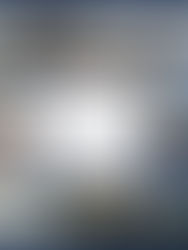 Homes featured in week 69 of the kansai property showcase.