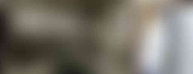 The photo shows a large, commercial-style kitchen with stainless steel countertops and sinks. The walls are tiled in white, and there are several windows providing natural light. A door leads to an outdoor area, possibly a garden or patio. The kitchen appears to be well-equipped for preparing large quantities of food.