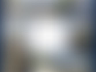 Properties in week 64 of the kansai property showcase