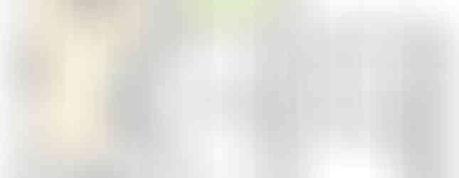 Two-story floor plan with LDK, bedrooms, bath, and balconies.