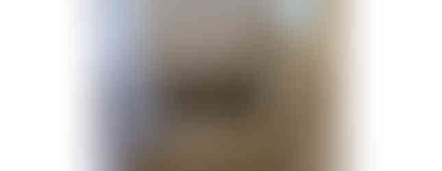 A photo of a modern bathroom with a bathtub, shower, and sink. The walls are tiled and there is a grab bar for safety. The bathtub has a folding door for privacy. There is a window with blinds in the background.