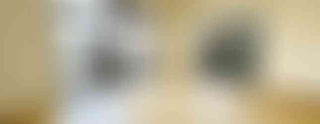 4LDK House in Kyoto City, Kyoto living room