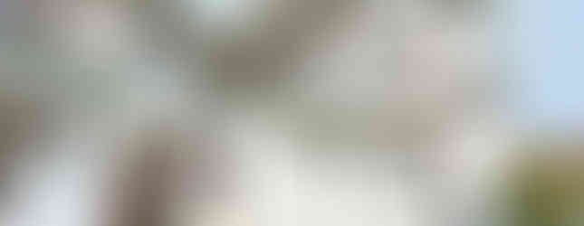 The photo shows two houses side by side. Both are two-story buildings with white walls and tiled roofs. They have balconies and entrances facing each other across a small yard.