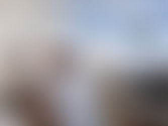 property inspections in japan