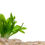 Thumbnail: HYDRATING LIPOSOME SERUM · Marine Plants with Hyaluronic Acid