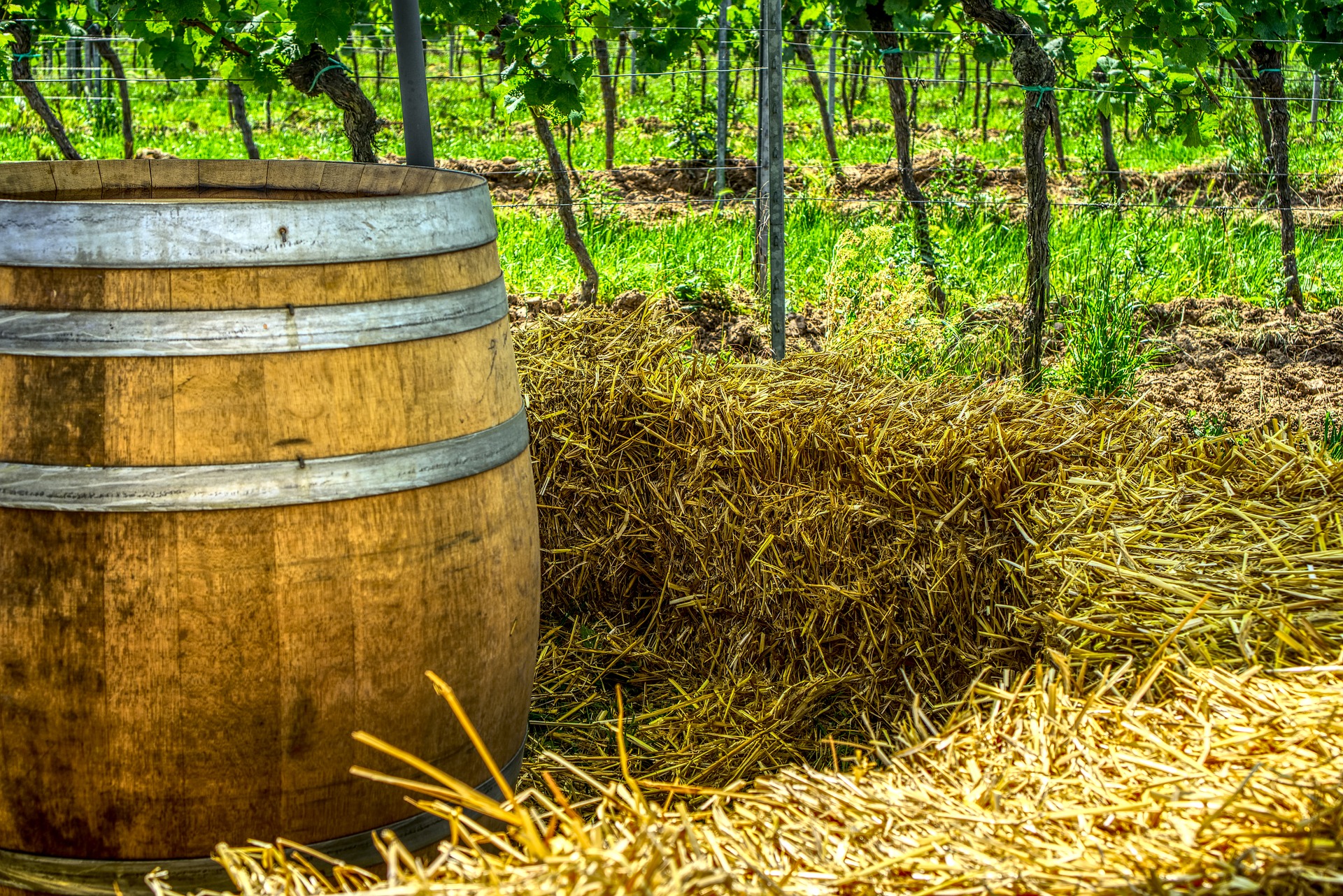 WINE BARRELS