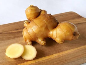 【ショウガオールって知ってます?】