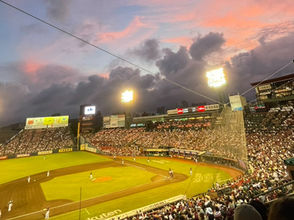 こんしの食べ放題その17【夏大満喫!絶品球場グルメ】