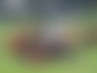 「コンディショニングってな~んだ?」