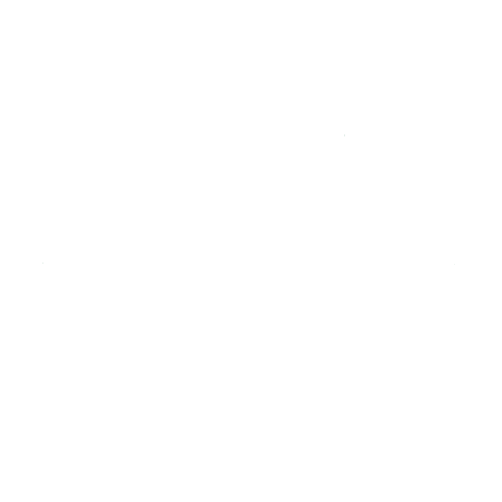 logo3_hvid2.gif