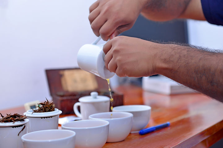 Master tea tasting 1.JPG