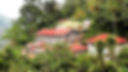 Abandoned%20tea%20factory_edited.jpg