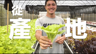【無毒水耕蔬菜箱｜產地到長輩的餐桌計畫】讓家人吃到友善無毒農產品，一併幫助老人食堂銀髮長輩
