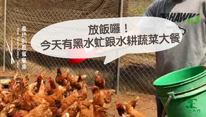 產地到長輩餐桌04|從畜牧友善,到溫飽在地社區隱形食材資源需求者——自然放牧與黑水虻結合的好虻蛋