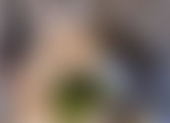 每週一信EP.230【最萌生菜代言人登場!長輩與兔兔救援居然可以一起並進!?】