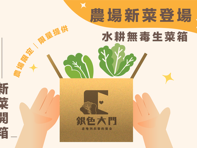 【水耕蔬菜新品出沒】水耕無毒生菜箱新菜登場