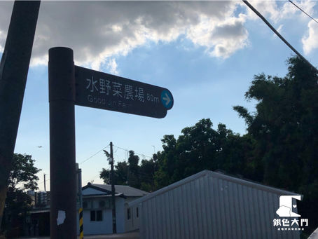 【新合作農場登場|座落桃園小鎮田間的水耕農場夥伴,一同加入為長輩公益注入力量】feat. 水野菜
