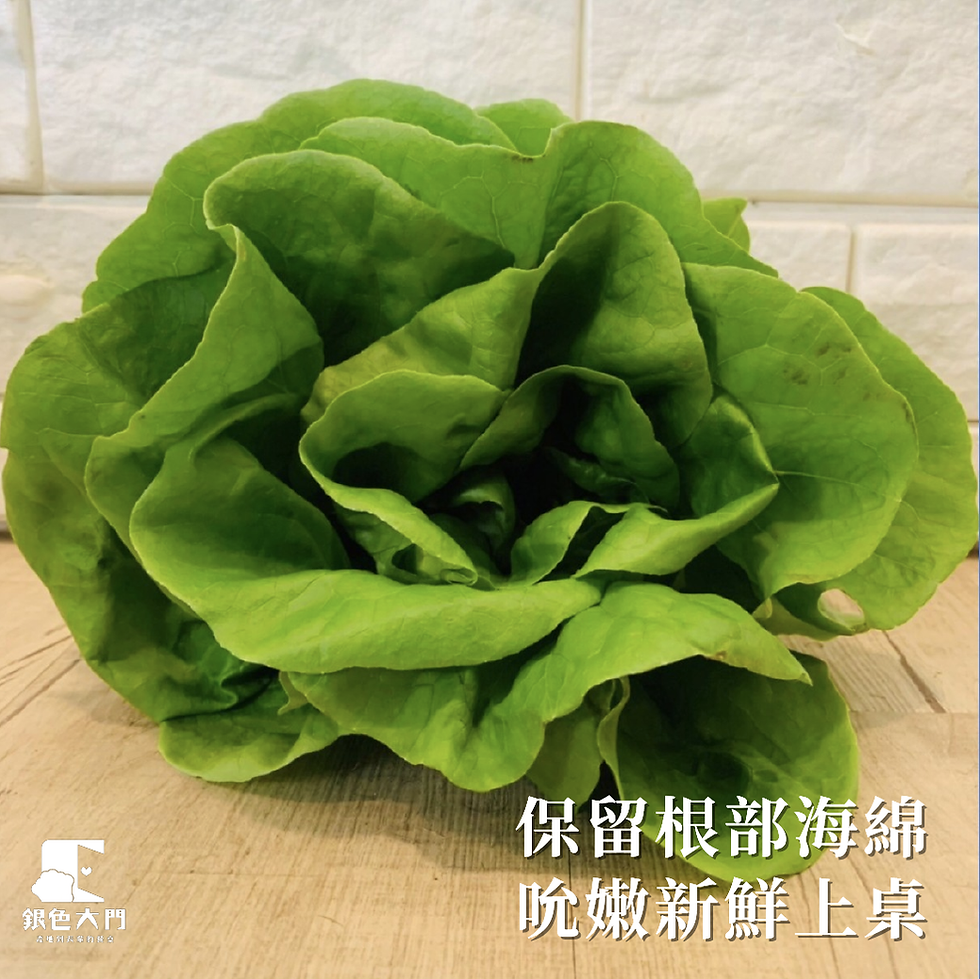 縮圖：水耕無毒生菜箱