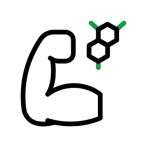 14-muscle.gif