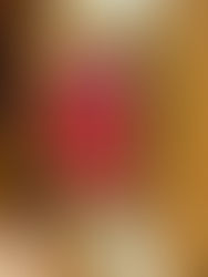 每週一信EP.322【銀聚,創辦以來第一次的尾牙!】