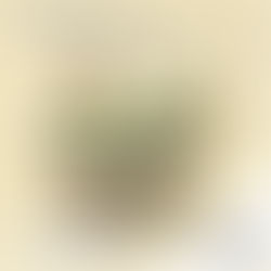 【疫情期間,你也可以訂健康無毒蔬菜!】