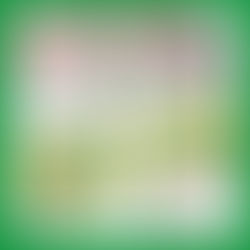 【銀色大門入圍 MediaTek Foundation 聯發科技教育基金會 2021智在家鄉! 】