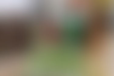 【 公益蔬菜捐贈|從嘉義朴子農場到六腳與民雄老人食堂,溫飽80位長輩的無毒水耕小白菜捐贈】feat. 水菁農園