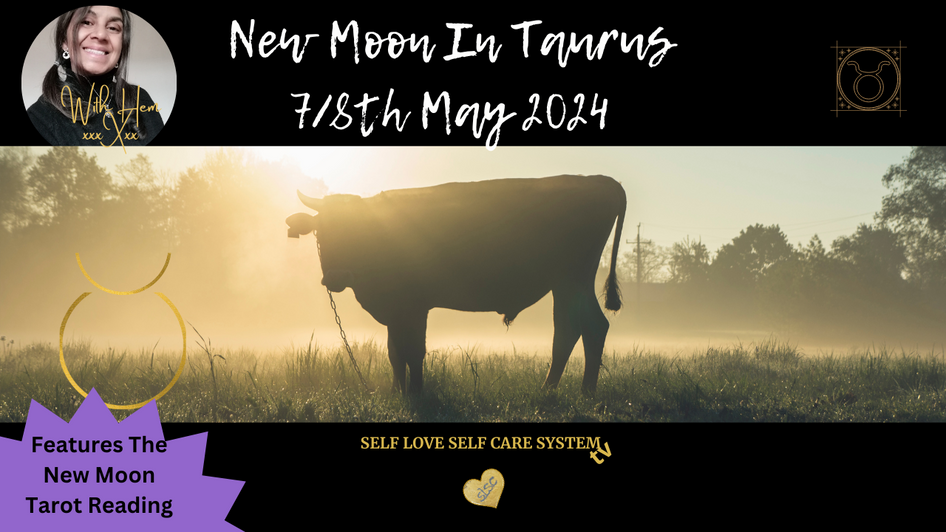 New Moon in Taurus| What's Your Safe & Secure?