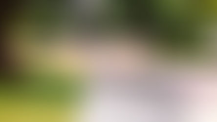 A Legacy of Faith: Mr. Rees Howells