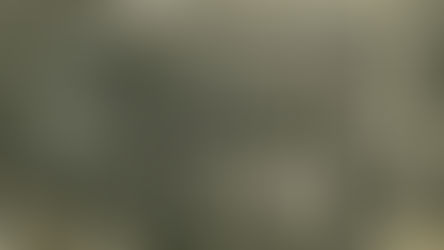 Praying with Persistence: Lessons from the Blue Room