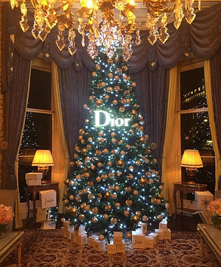 Dior Tree Ritz.jpeg