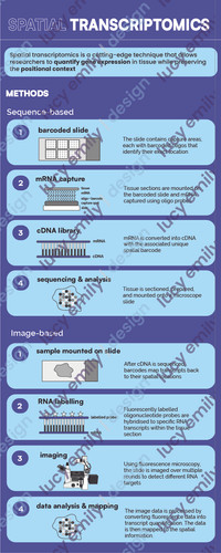 Spatial Transcriptomics Infographic | Lucyemilydesign