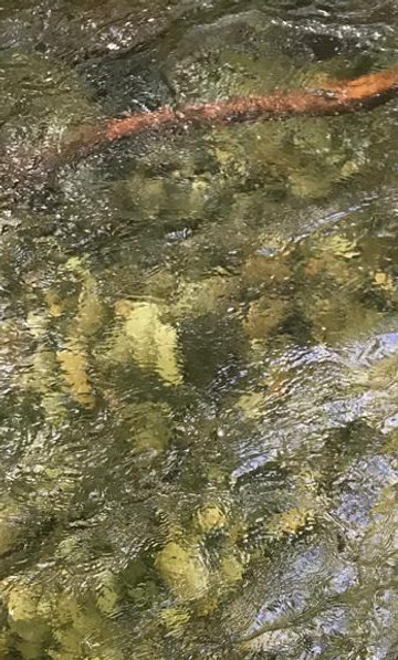 WhatsApp Image 2024-08-10 at 14.00.11_5e45c7fb.jpg