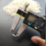 314664461_432474272413568_93021236899874