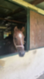 IMG-20250823-WA0055