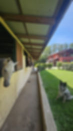 IMG-20250823-WA0057