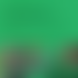 Hermann Hesses Werke im Spiegel von Richard Strauss und Oliver Gruhn. CD „Bezaubernd...“ erschien als Hommage an Hermann Hesse