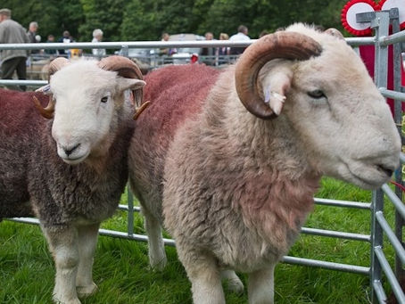 7th September 2025 - Loweswater Show