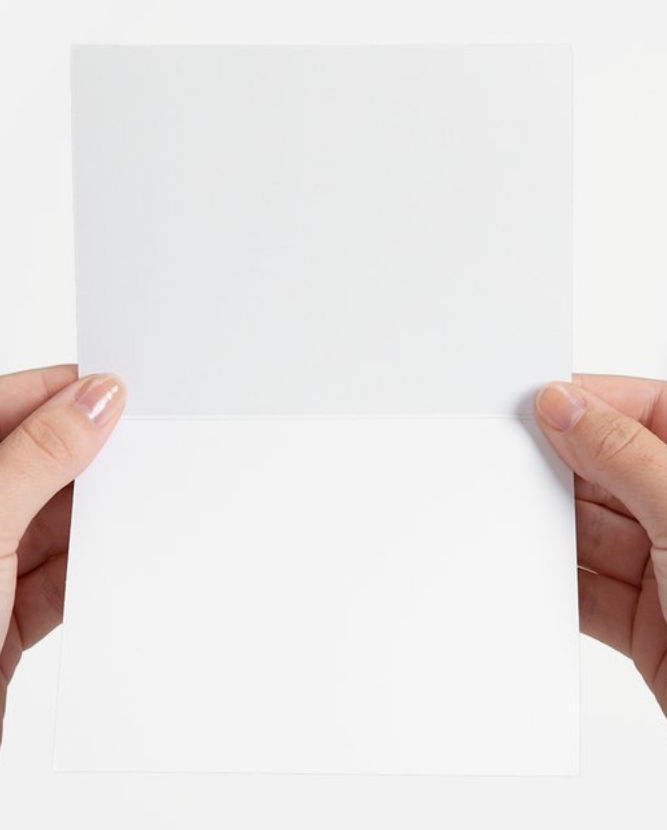 Thumbnail: Maine Beauty Notecards
