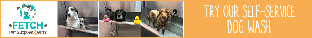 Try our Self Service dog wash