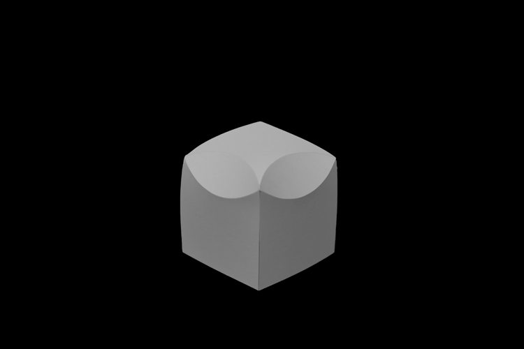 06_Model_BW.gif