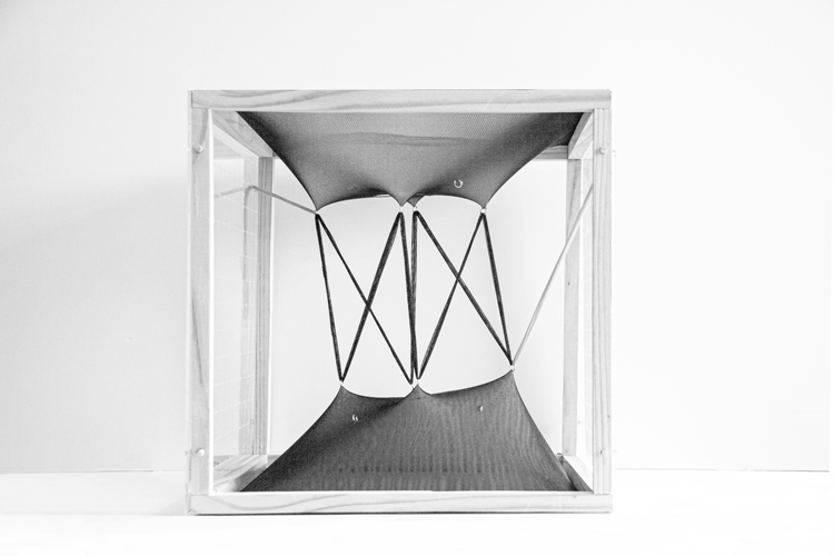 11_Model_bw.gif