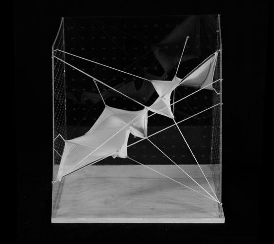 05_Model_BW.gif