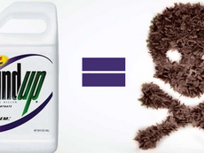 Roundup weed killer bottle beside an equals sign and a skull made of brown dead weeds on a white background.
