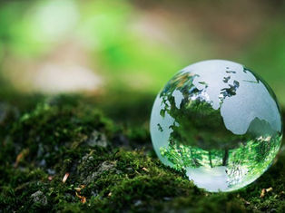 A glass globe rests on moss-covered ground, reflecting vibrant green foliage and sunlight. Earth continents visible, nature theme.