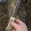 Thumbnail: red deer antler handle
