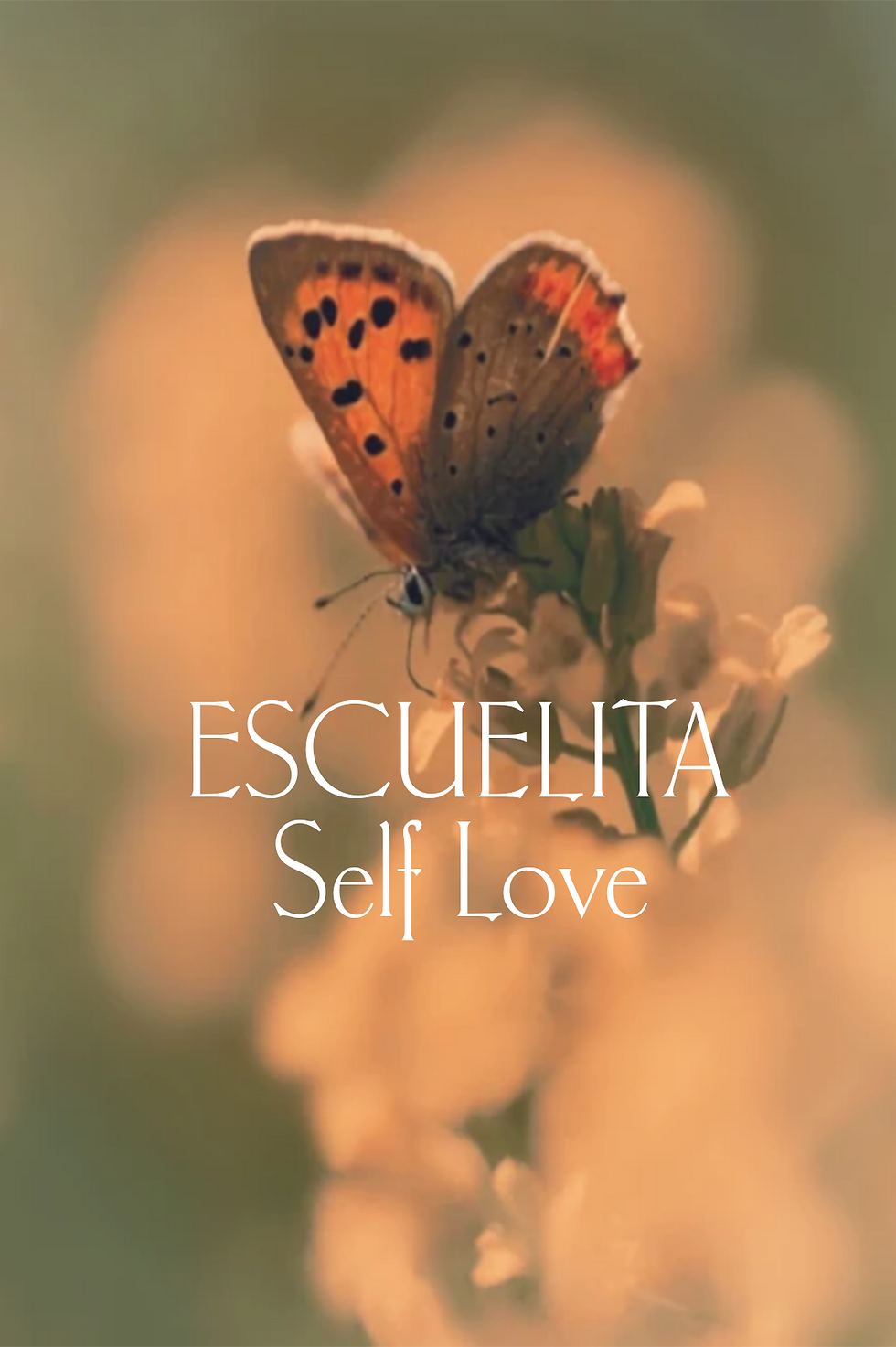 Escuelita Self Love