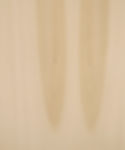 TULIPA/POPLAR